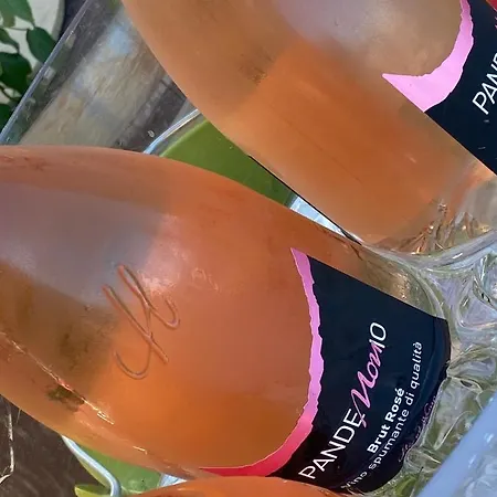 La Bordona B&B 公寓式酒店 Vignale